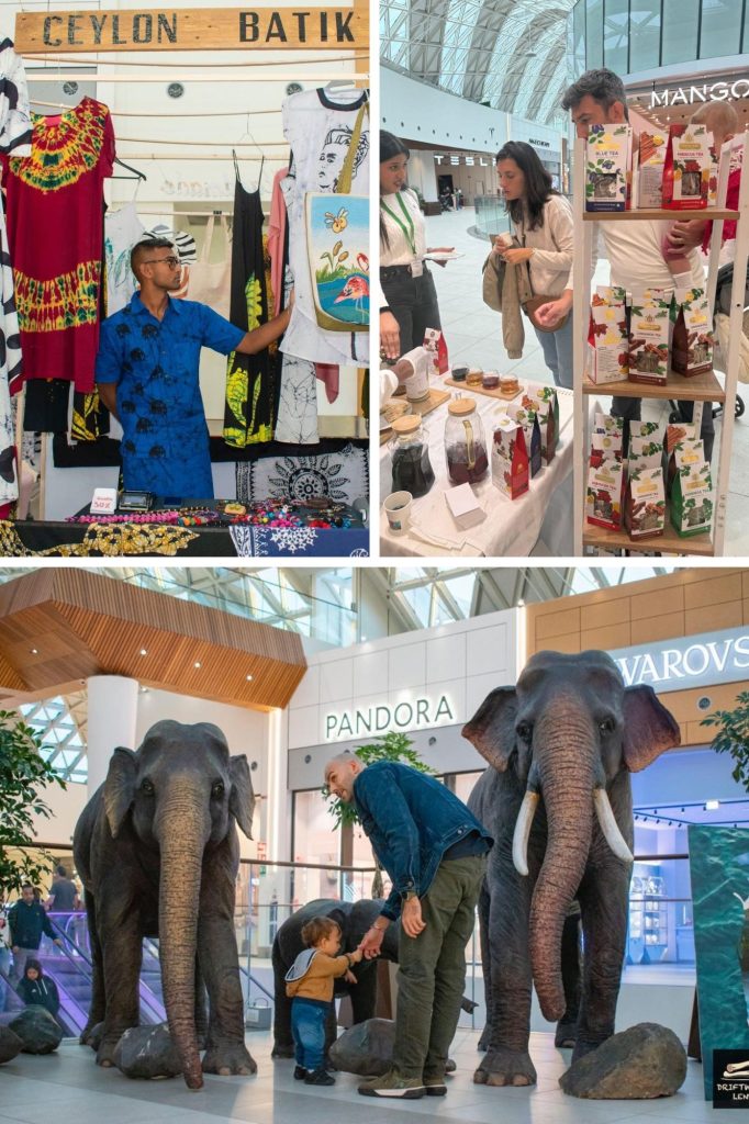 Third Edition of Cultural Festival in Milan “Sri Lanka: A Cultural Odyssey” draws 83,000 visitors at Merlata Bloom